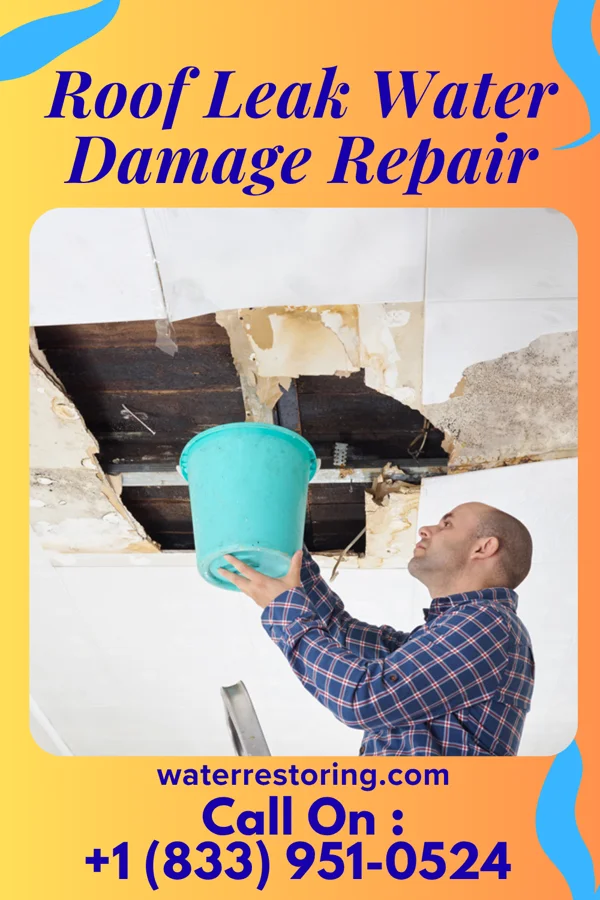 Roof Leak Water Damage Repair in Fertile, MN